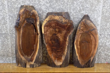 3- Salvaged Live Edge Black Walnut DIY Charcuterie Boards/Slabs 5036-5038